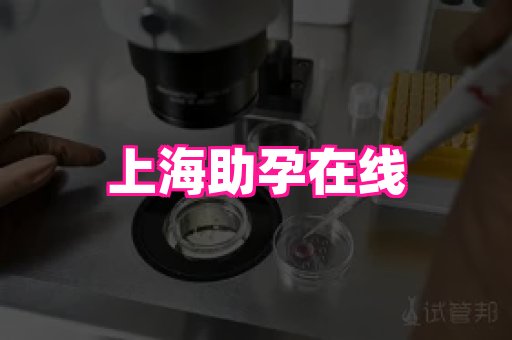 gfg孕网 4